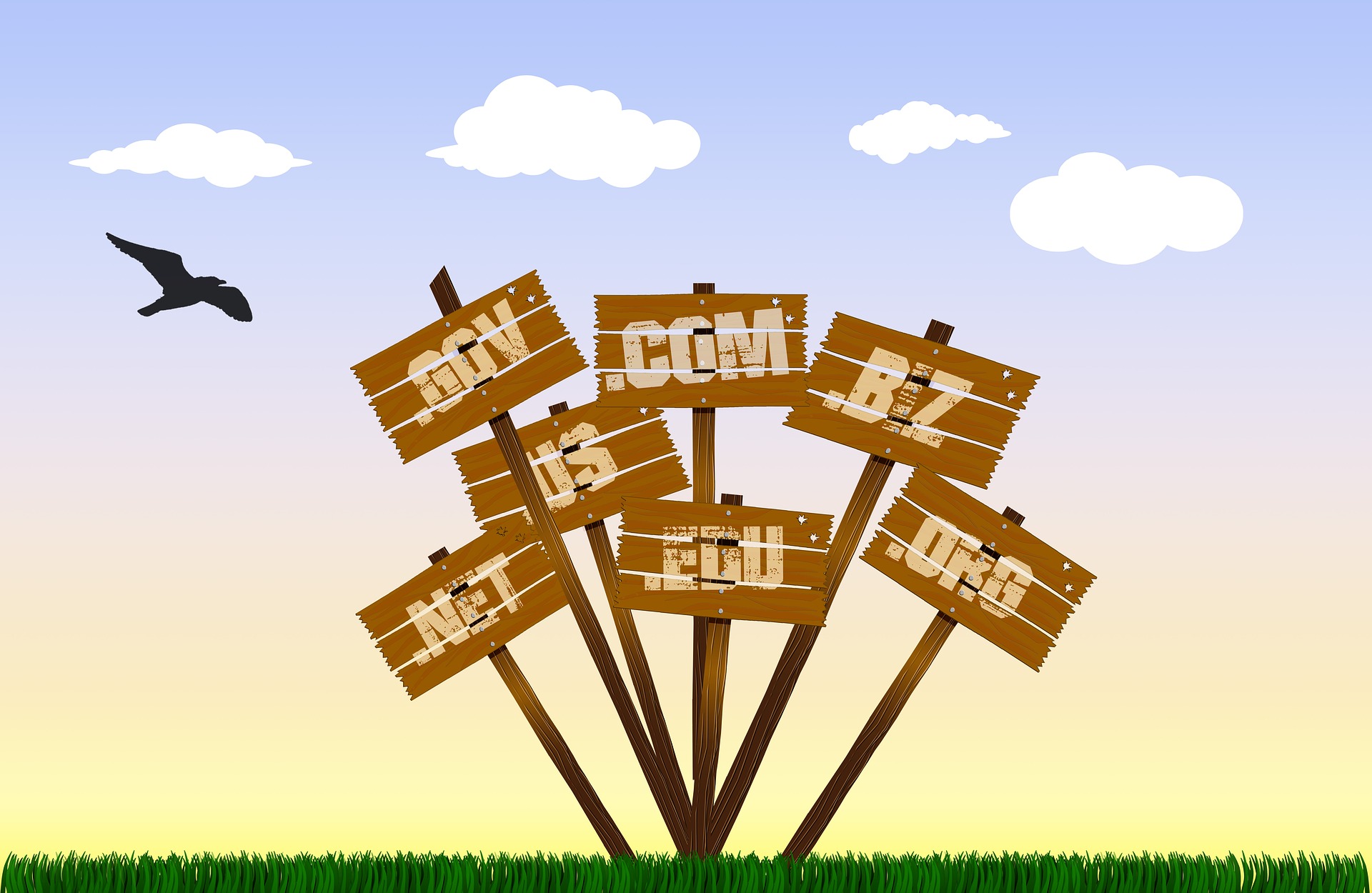 Domain and Hosting